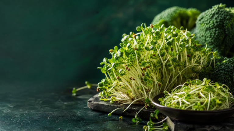 Unlock Liver Detox: Broccoli Sprouts for Sulforaphane